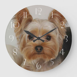 Gorgeous Yorkshire Terrier Large Clock