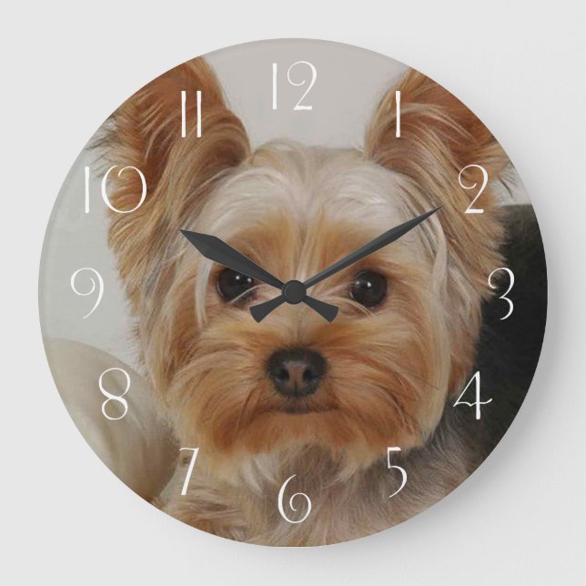 Gorgeous Yorkshire Terrier Large Clock (Front)
