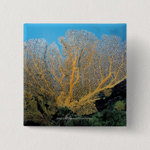 Gorgonian coral 15 cm square badge