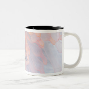 Gorgonian coral 4 Two-Tone coffee mug