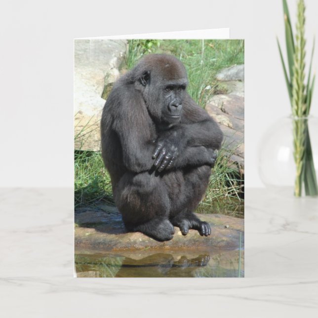 Gorila Sitting Greeting Card (Front)