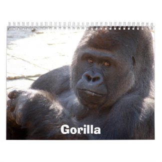 Gorilla_004, Gorilla Calendar