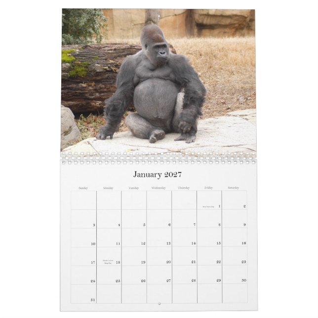 Gorilla_018, Gorilla Calendar (Jan 2027)