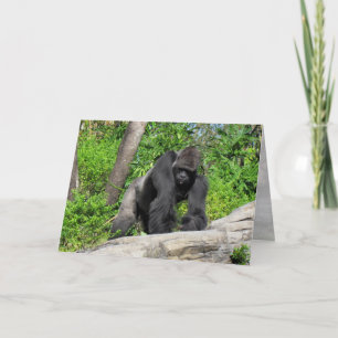 Gorilla (0536) Greeting Card