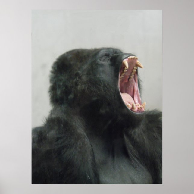 Gorilla, Ape, Monkey, Animal, Nature Wall Poster (Front)