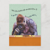 Gorilla at Desk Postcard