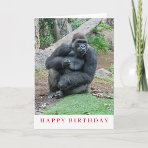 Gorilla at the zoo birthday card
