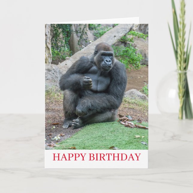 Gorilla at the zoo birthday card (Front)