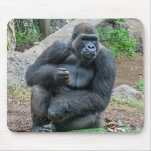 Gorilla at the zoo mousepad