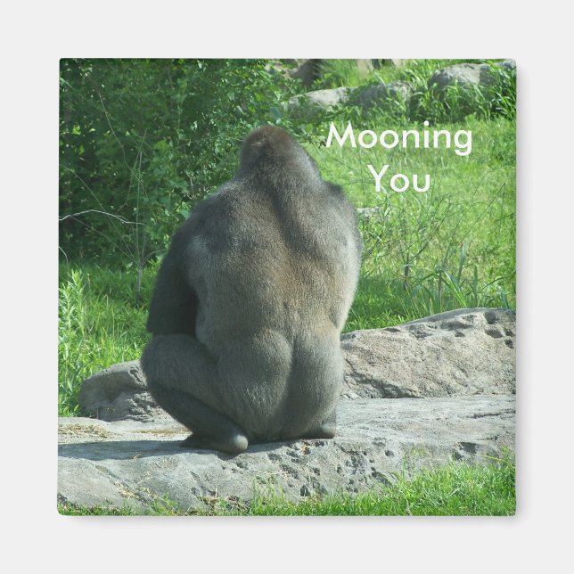 gorilla backside, Mooning You Magnet (Front)