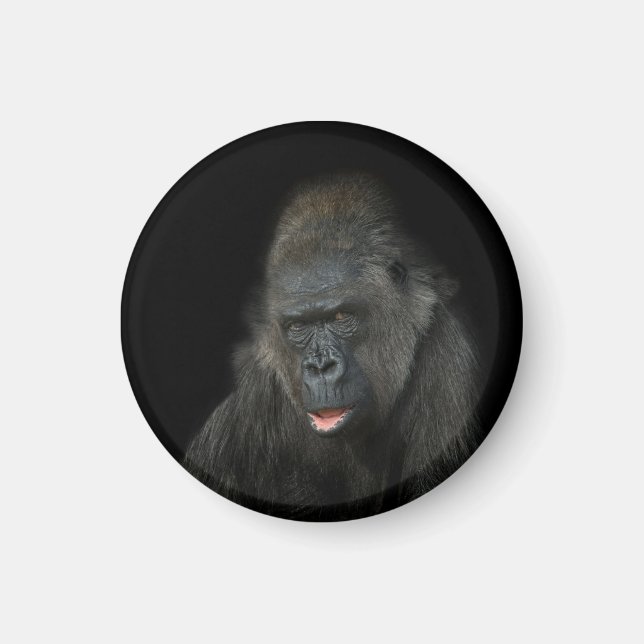 Gorilla Biddy Magnet (Front)