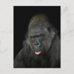 Gorilla Biddy Postcard