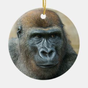 Gorilla Brothers Ceramic Tree Decoration