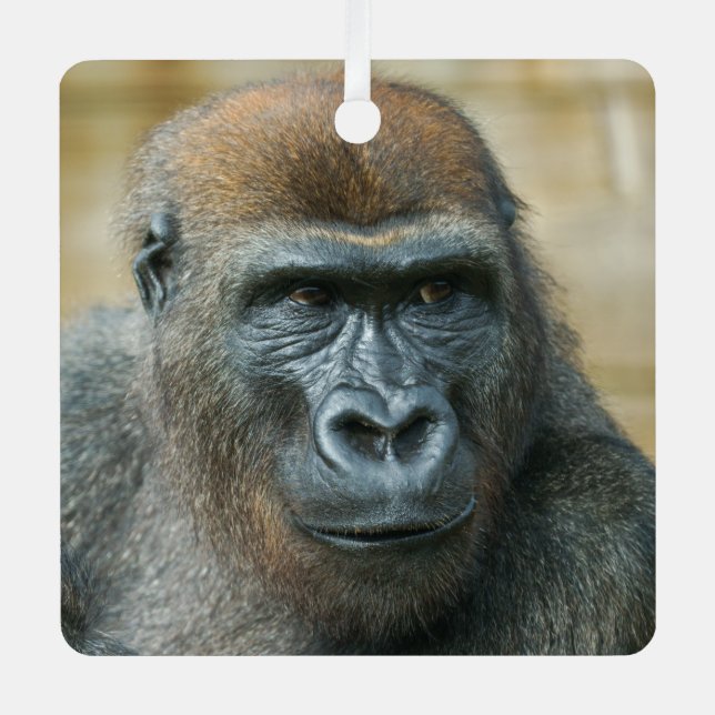 Gorilla Brothers - GoBros Metal Tree Decoration (Front)