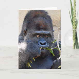 Gorilla Card
