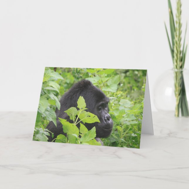 Gorilla Card - Blank on the inside (Front)