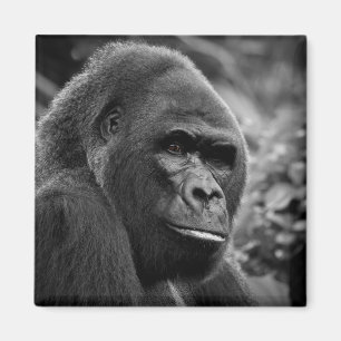 Gorilla Close Up Black And White Portrait Magnet