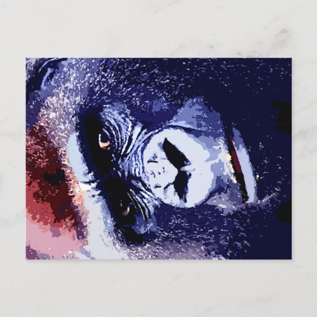 Gorilla Face Postcard (Front)