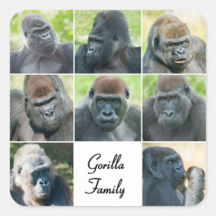 Gorilla Family Square Sticker