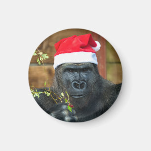 Gorilla Festive Cheer Unleashed Magnet