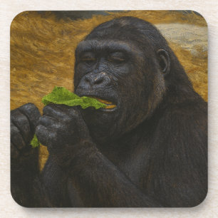 Gorilla Grace – Realistic Wildlife Portrait Coaster
