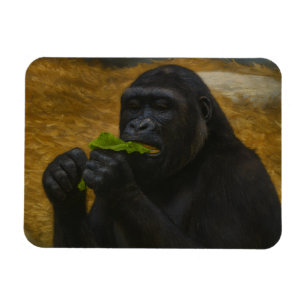 Gorilla Grace – Realistic Wildlife Portrait Magnet