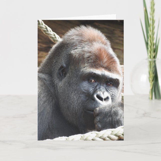 Gorilla Greeting Card (Front)