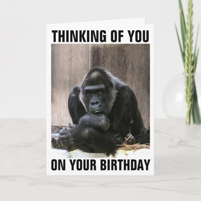 GORILLA HAPPY BIRTHDAY GREETING CARDS (Front)