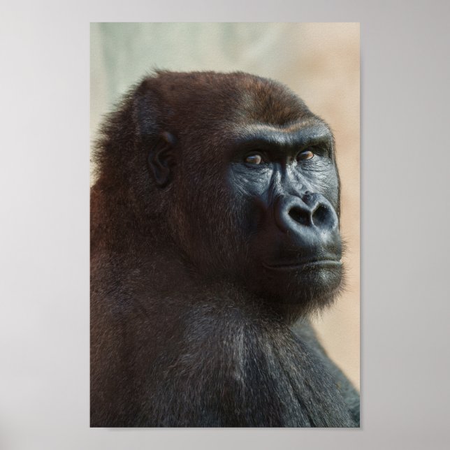 Gorilla Lope Close-up  Poster (Front)