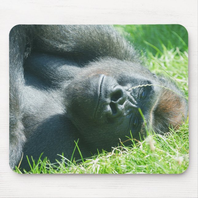 Gorilla Lope’s Peaceful Summer Dream Mouse Pad (Front)