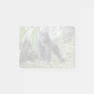 Gorilla Moke at the National Zoo Post-it Notes