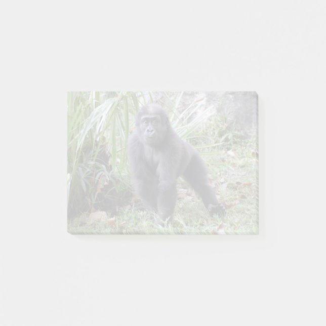Gorilla Moke at the National Zoo Post-it Notes (Front)