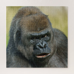 Gorilla Mother Jigsaw Puzzle