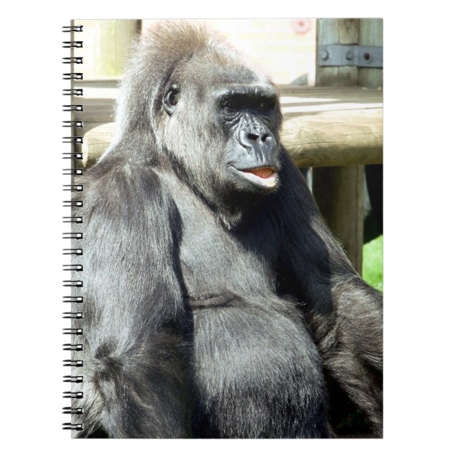 GORILLA NOTEBOOK (Front)