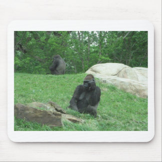 Gorilla pic mouse pad