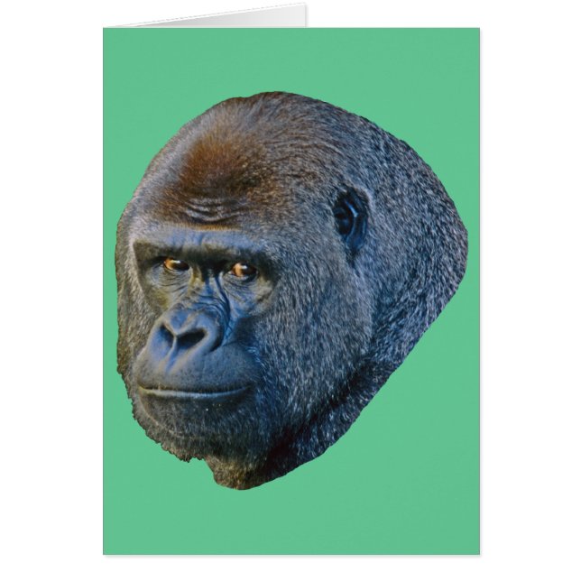 Gorilla Picture (Front)