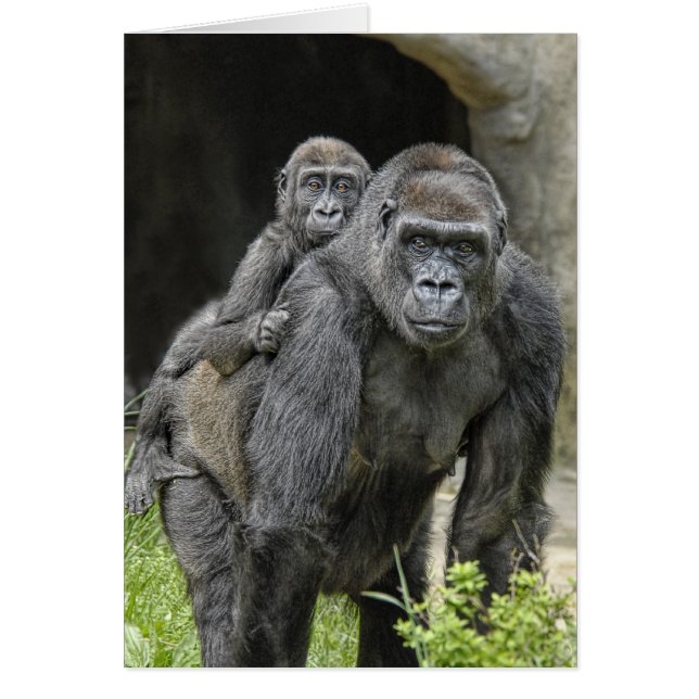 Gorilla "Piggyback" mum and baby #1 (Front)