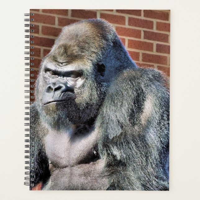 GORILLA PLANNER (Front)