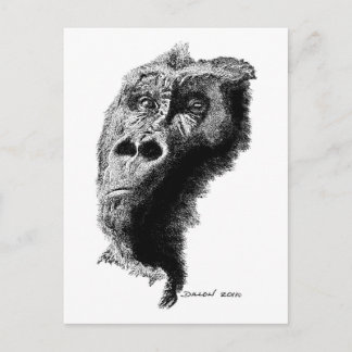 Gorilla Postcard