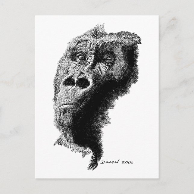 Gorilla Postcard (Front)