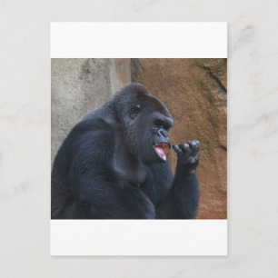 Gorilla Postcard