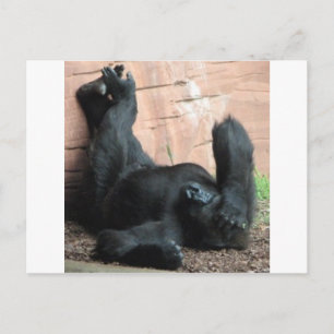 GORILLA POSTCARD