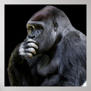 gorilla poster