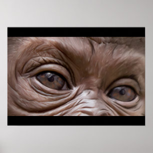 gorilla poster