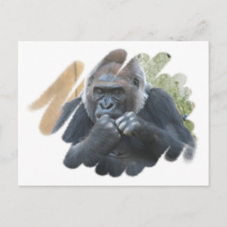 Gorilla Primate Postcard