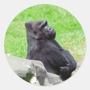 Gorilla Relaxing Sticker