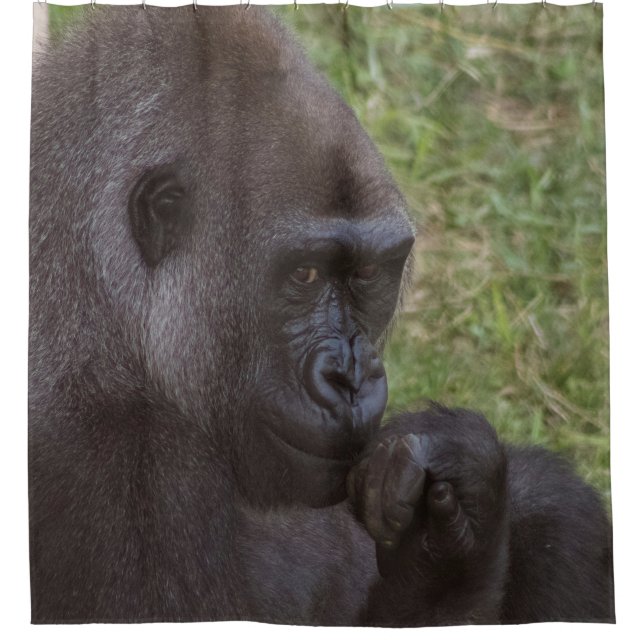 Gorilla Shower Curtain (Front)