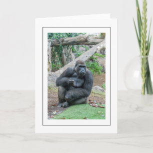 Gorilla sitting greeting card