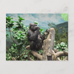 Gorilla Too Postcard