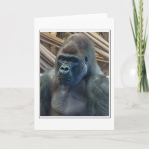 Gorilla up close greeting card